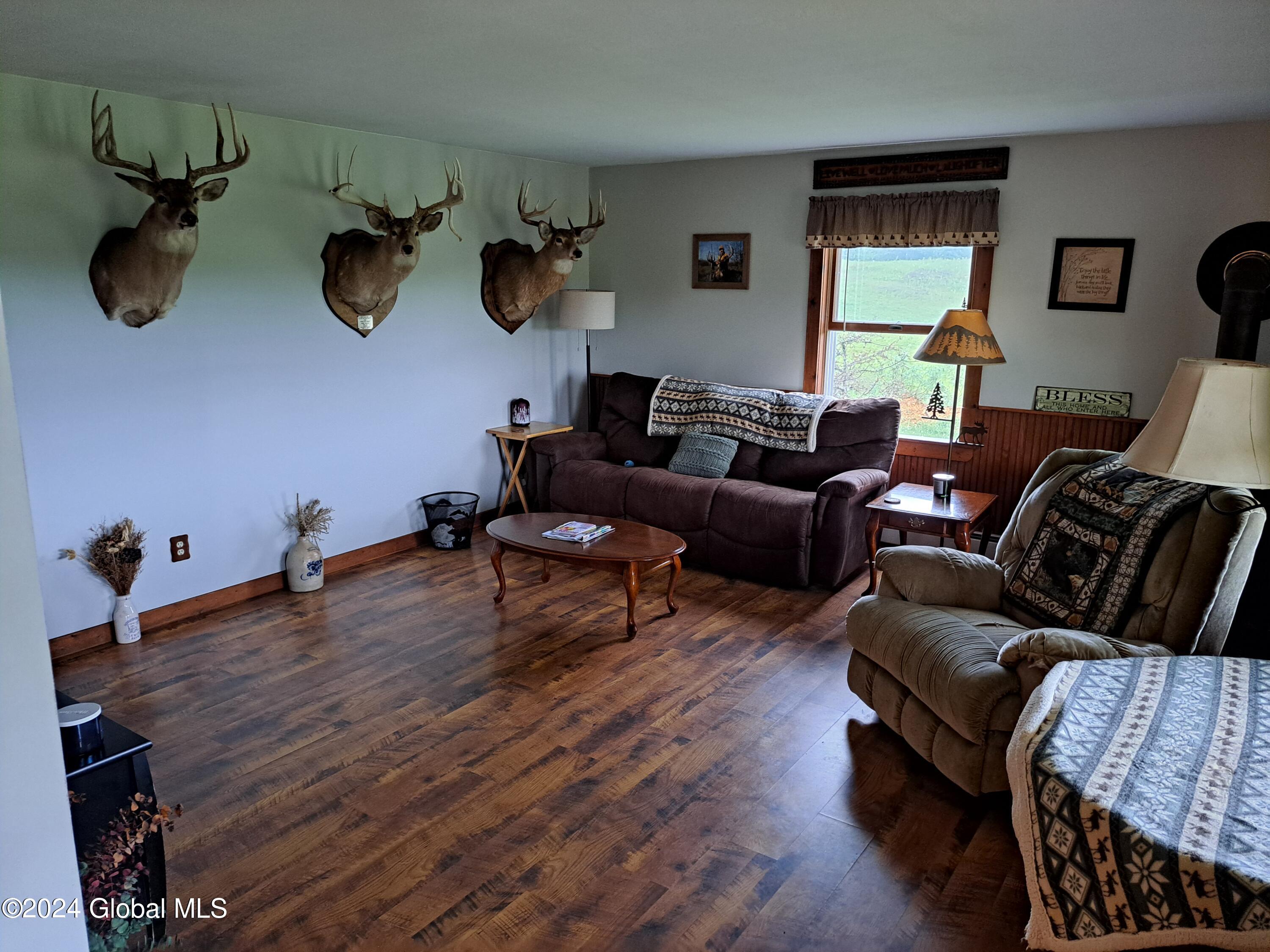 51 Barney Hill Road Johnsburg, NY 12843 - Photo 9 of 108 09 Living Room