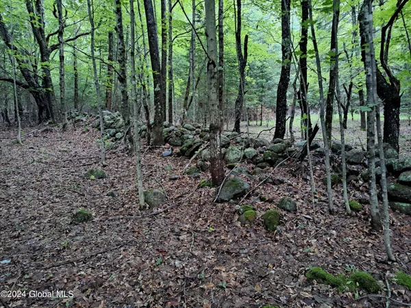 $699,900 | 51 Barney Hill Road, Johnsburg, NY 12843