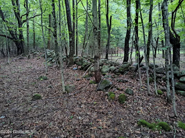 $749,900 | 51 Barney Hill Road, Johnsburg, NY 12843