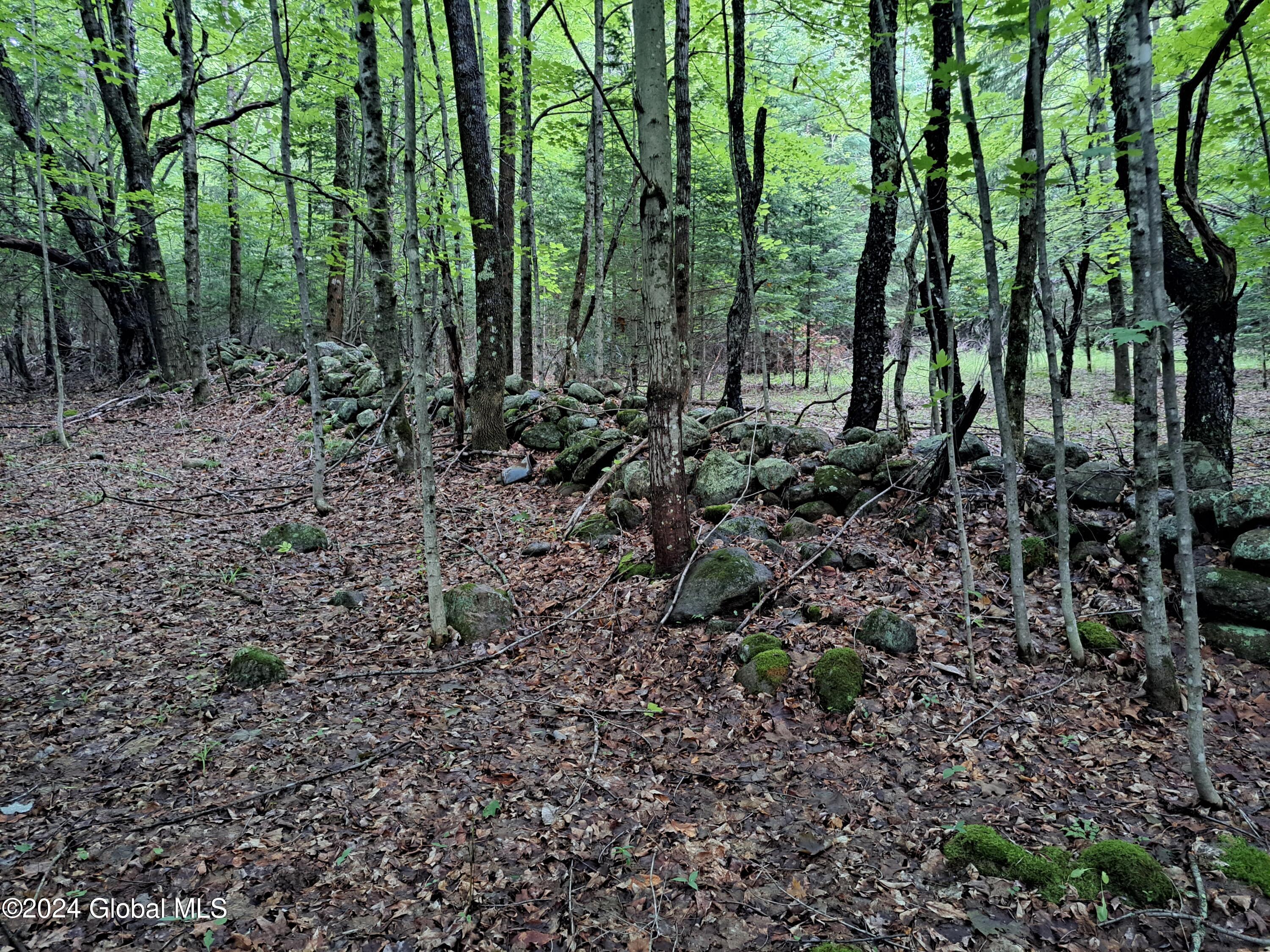 51 Barney Hill Road Johnsburg, NY 12843 - Photo 92 of 108 92 Stone Wall Property Boundary