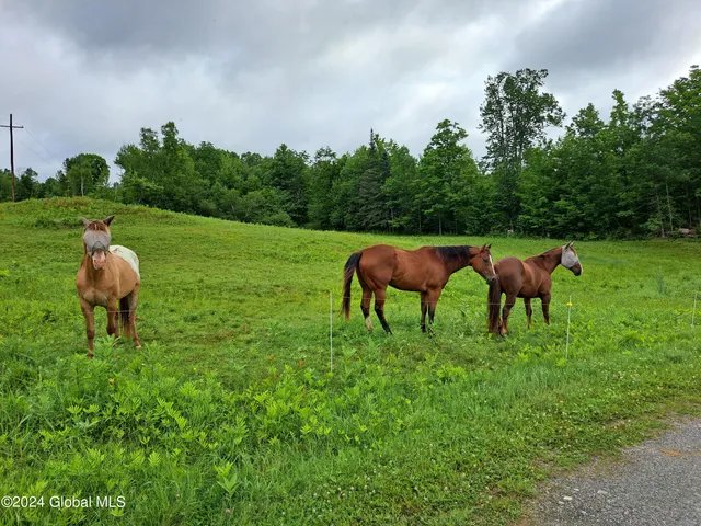 $749,900 | 51 Barney Hill Road, Johnsburg, NY 12843
