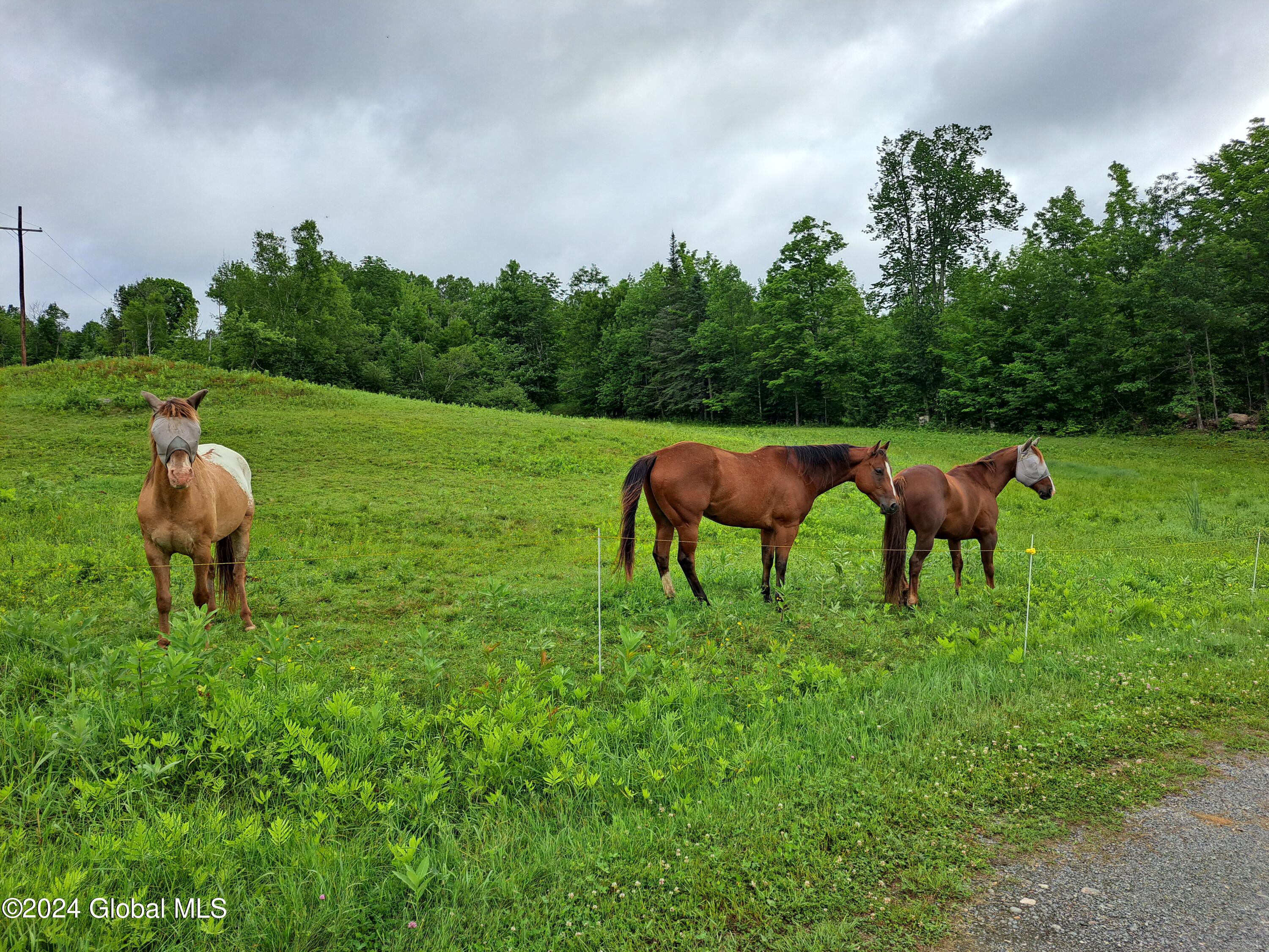 51 Barney Hill Road Johnsburg, NY 12843 - Photo 93 of 108 93 Who is This Person Taking PIctures