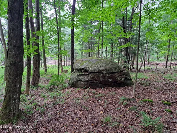 $699,900 | 51 Barney Hill Road, Johnsburg, NY 12843