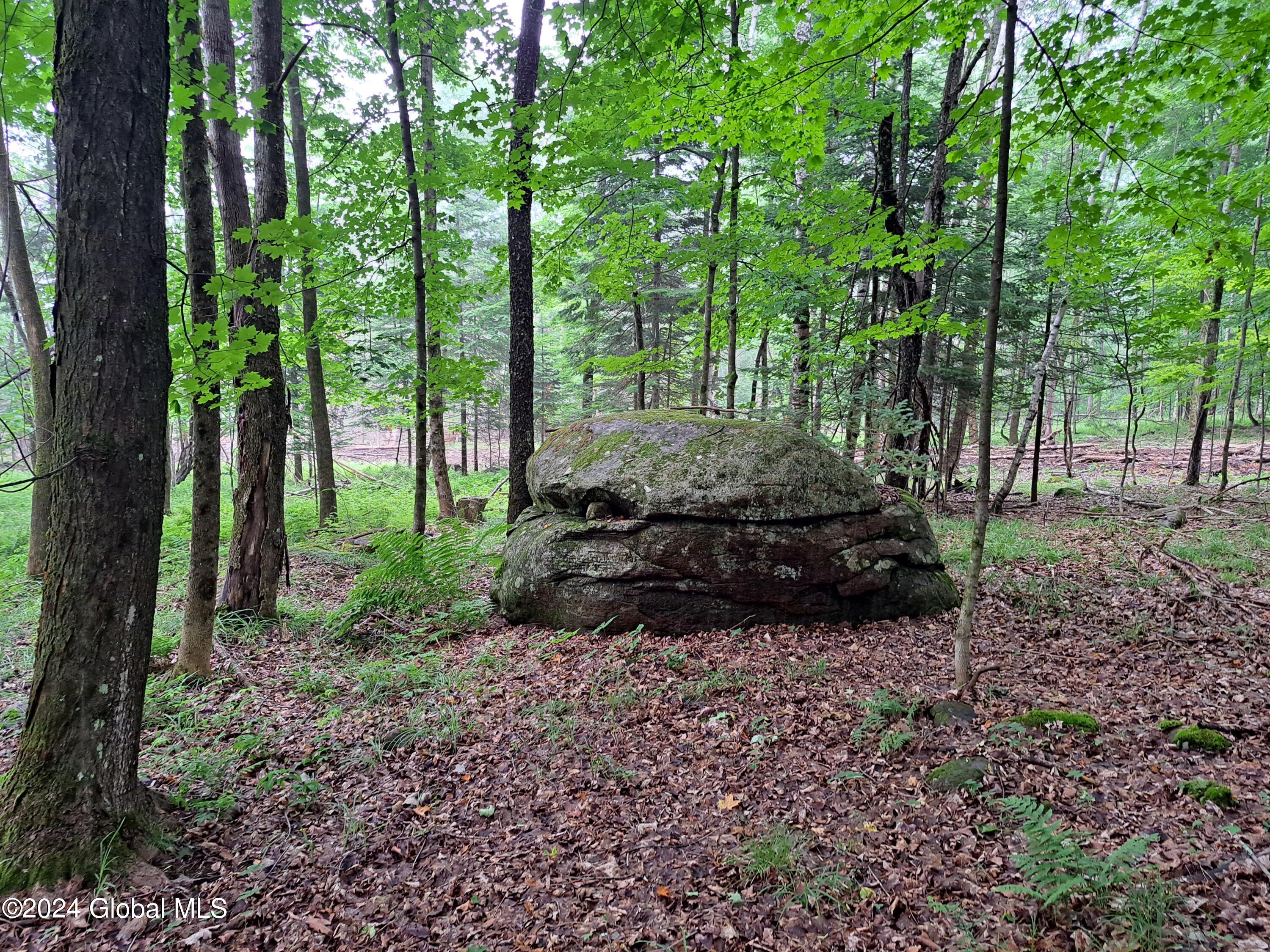 51 Barney Hill Road Johnsburg, NY 12843 - Photo 95 of 108 95 Lone Boulder