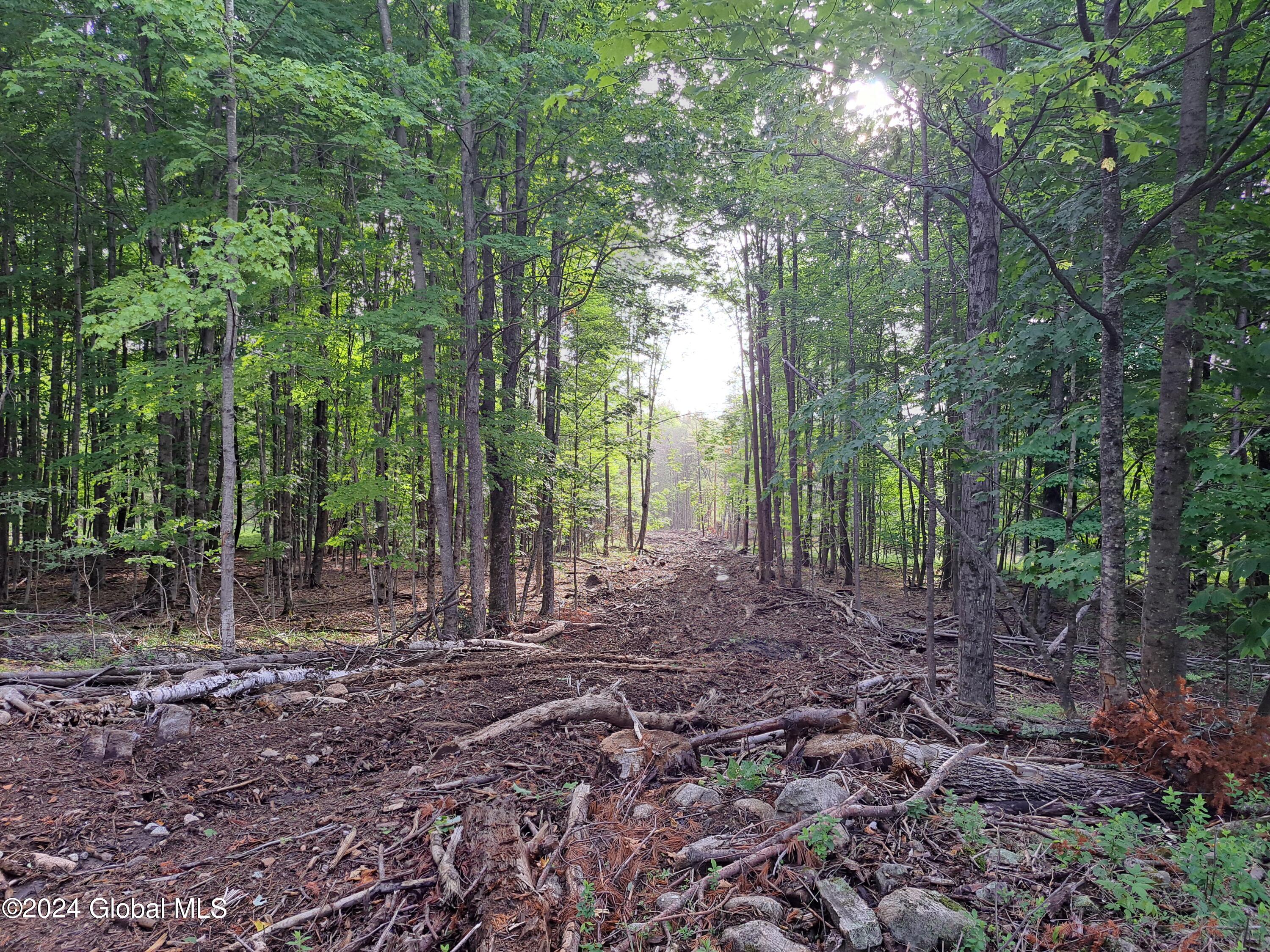 51 Barney Hill Road Johnsburg, NY 12843 - Photo 96 of 108 96 Mixed Hardwood and Softwood Forest