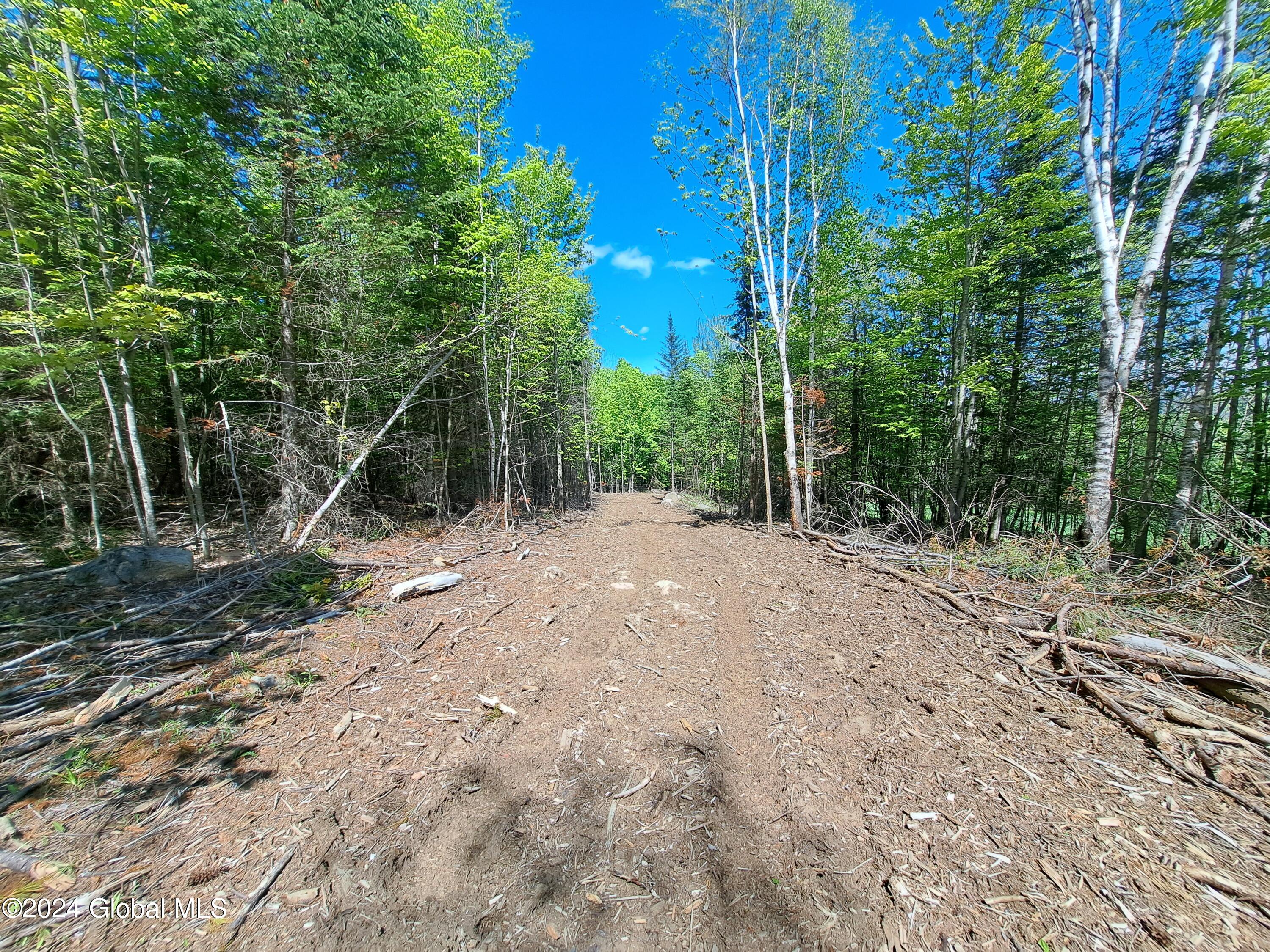 51 Barney Hill Road Johnsburg, NY 12843 - Photo 97 of 108 97 Logging Trail