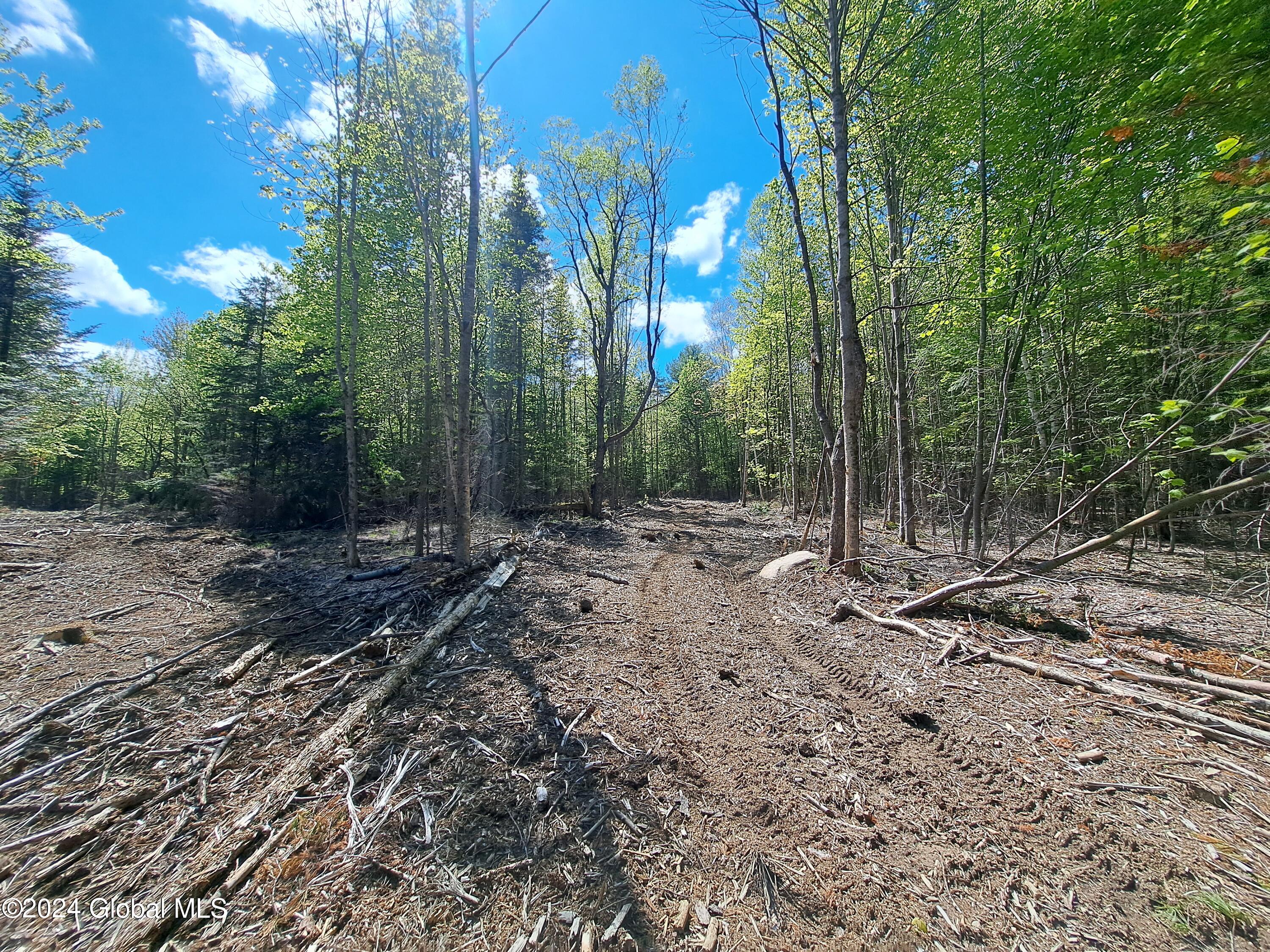 51 Barney Hill Road Johnsburg, NY 12843 - Photo 98 of 108 98 ATV Trail