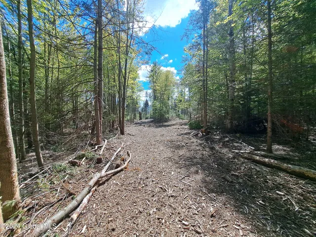 $749,900 | 51 Barney Hill Road, Johnsburg, NY 12843