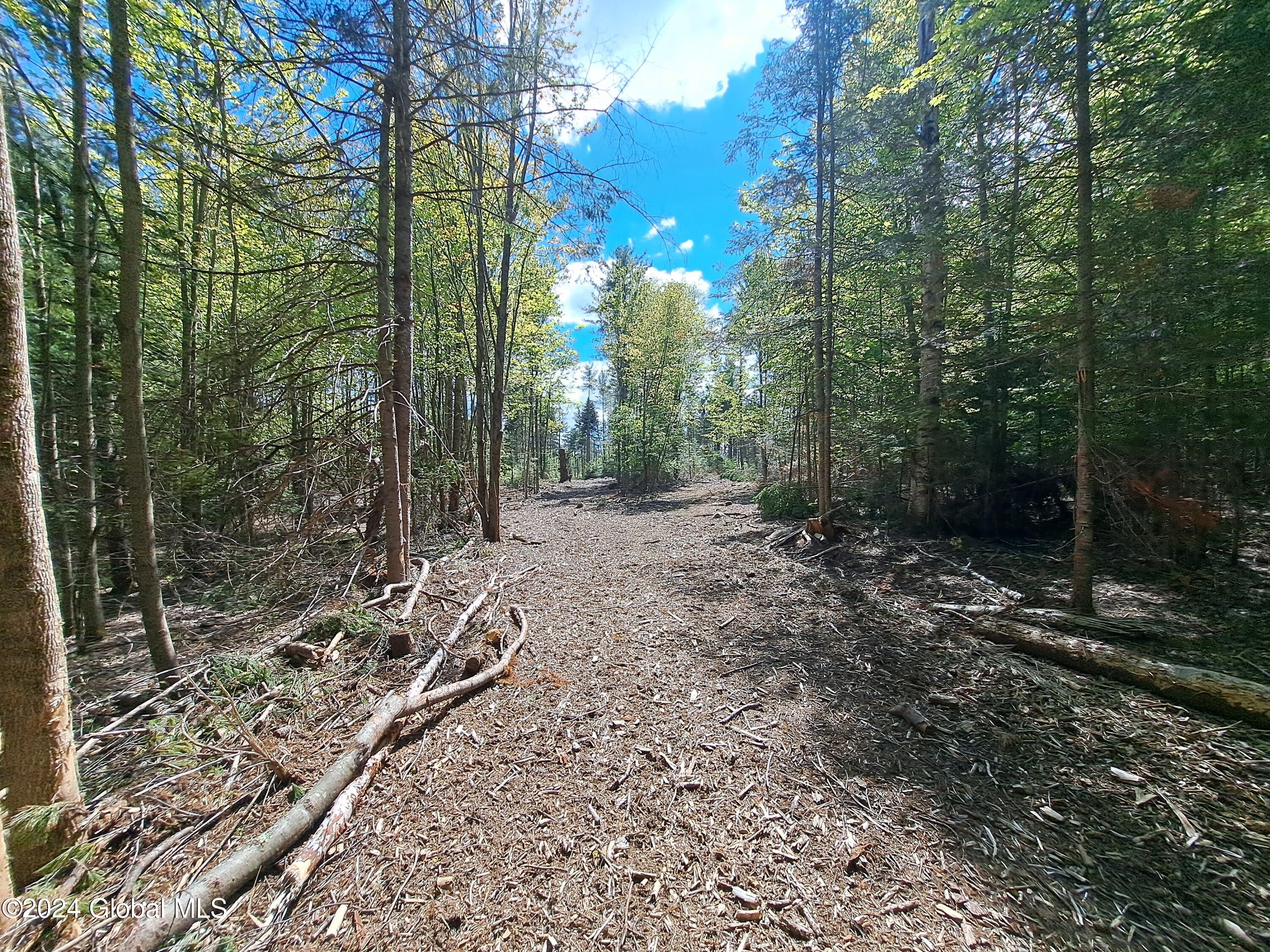 51 Barney Hill Road Johnsburg, NY 12843 - Photo 99 of 108 99 Trail