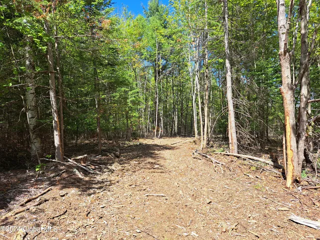 $749,900 | 51 Barney Hill Road, Johnsburg, NY 12843