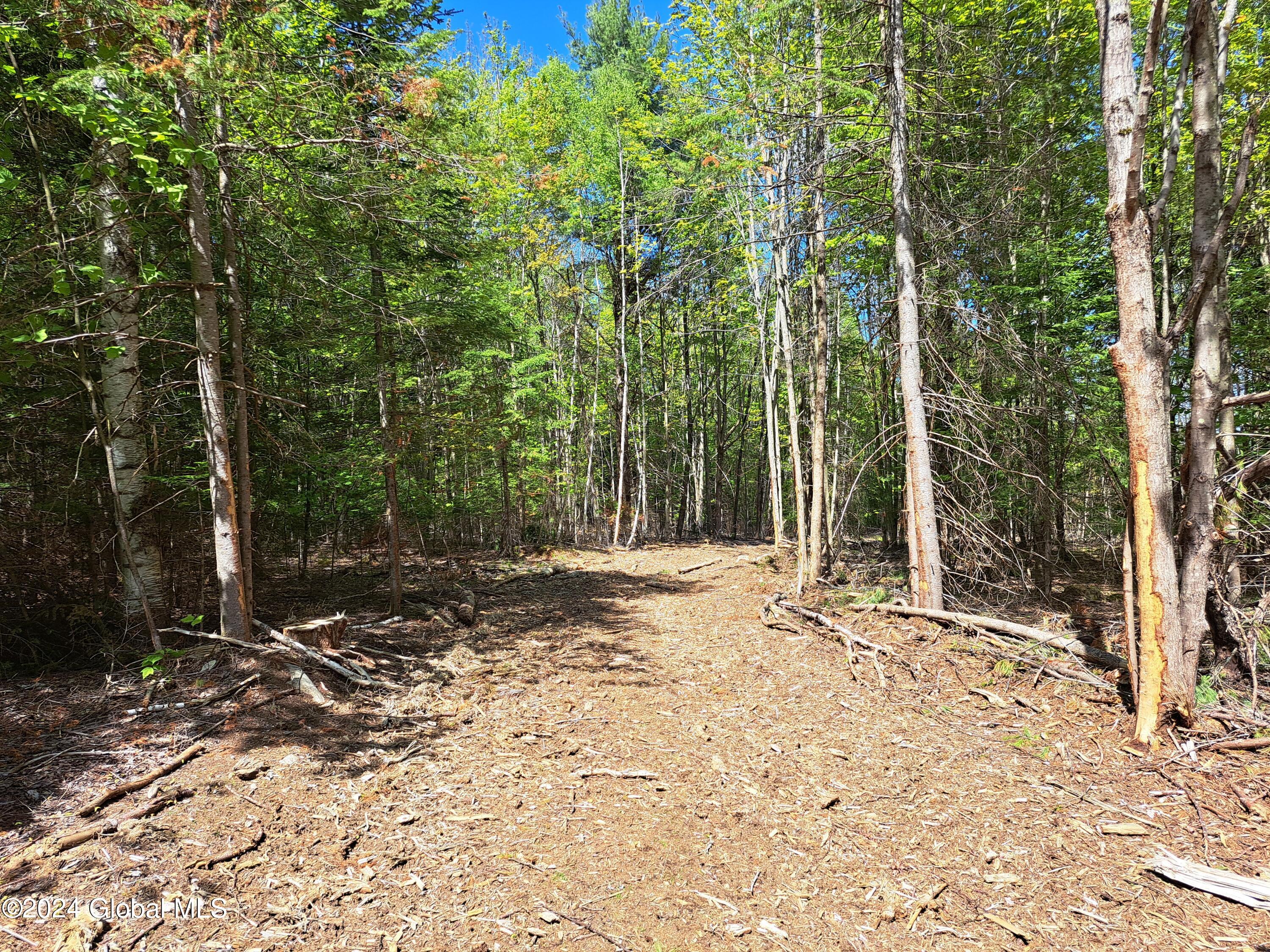 51 Barney Hill Road Johnsburg, NY 12843 - Photo 100 of 108 100 Trail