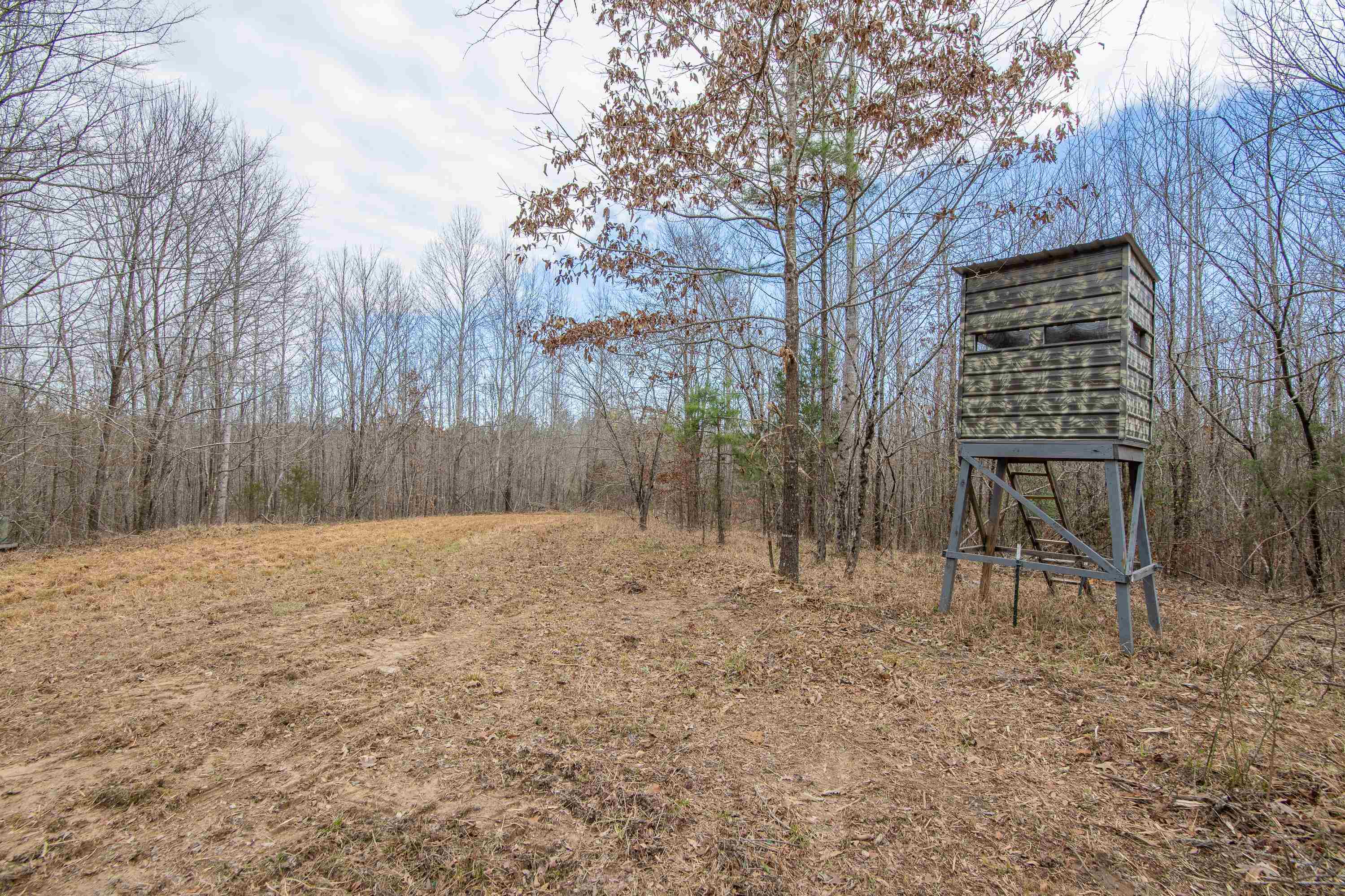 Howell Road Hornsby, TN 38044 - Photo 29 of 36 View of yard