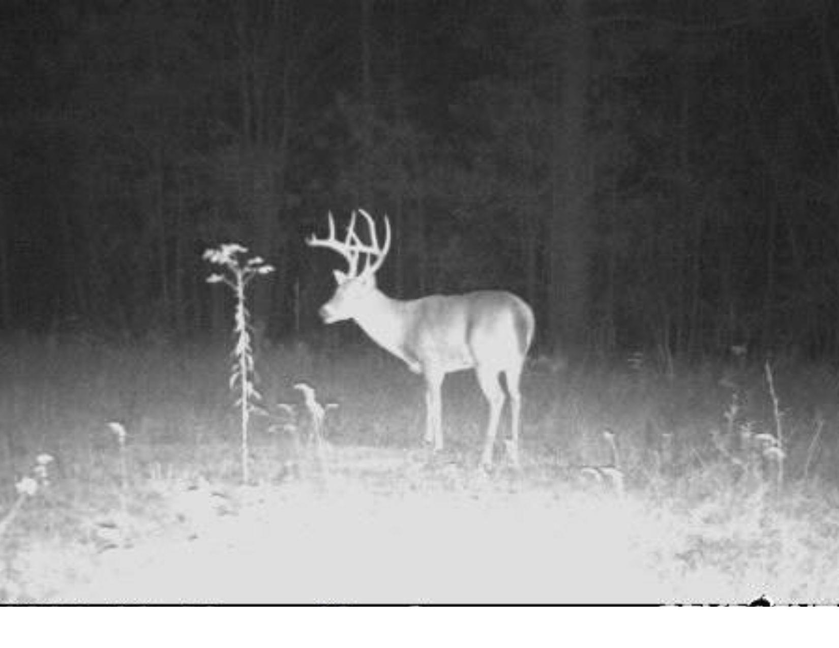 Howell Road Hornsby, TN 38044 - Photo 33 of 36 View of exterior details