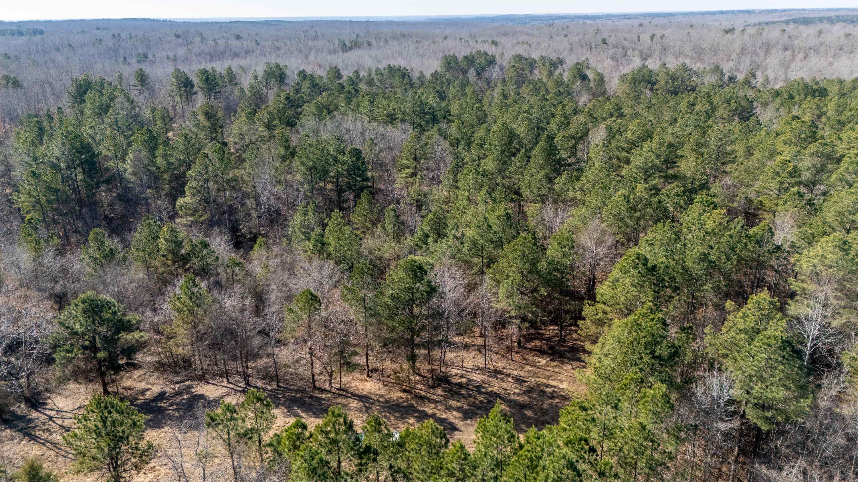 Howell Road Hornsby, TN 38044 - Photo 8 of 36 Aerial view