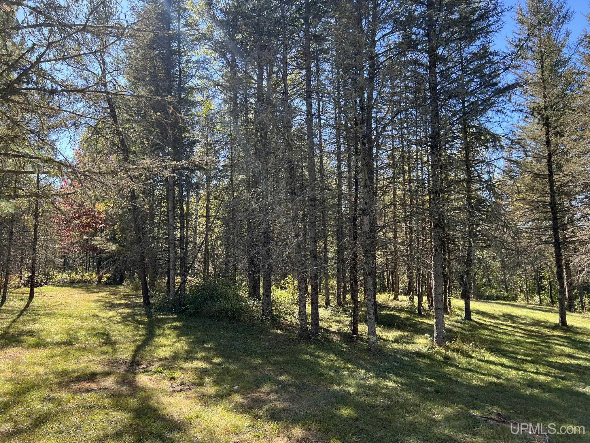 1717 Bates-Amasa Road Crystal Falls, MI 49920 - Photo 16 of 28 Gallery Image 16
