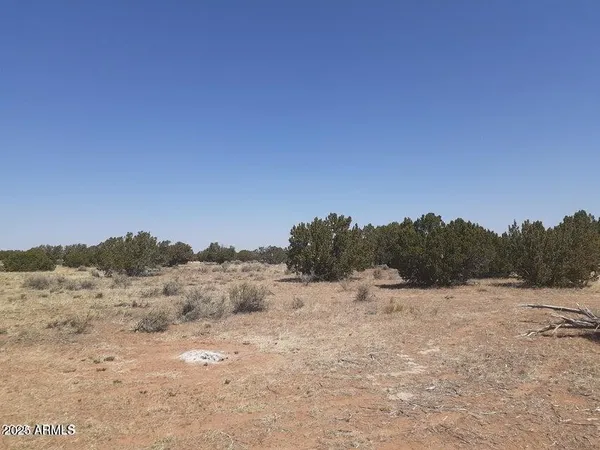 a view of mountain view with trees