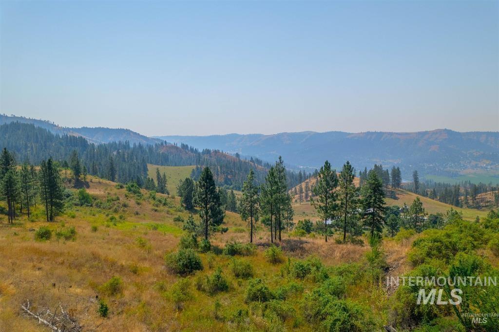 Tbd Lot #4 Beaverslide Road Kamiah, ID 83536 - Photo 12 of 17 Gallery Image 12
