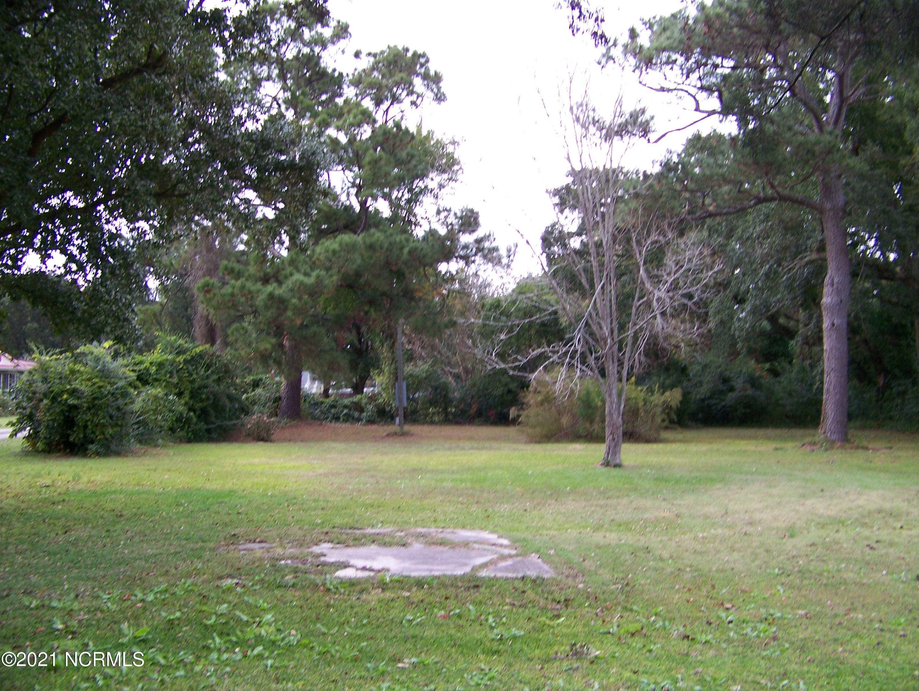 261 Shore Road Newport, NC 28570 - Photo 27 of 31 power and septic tank for mobile home that was removed