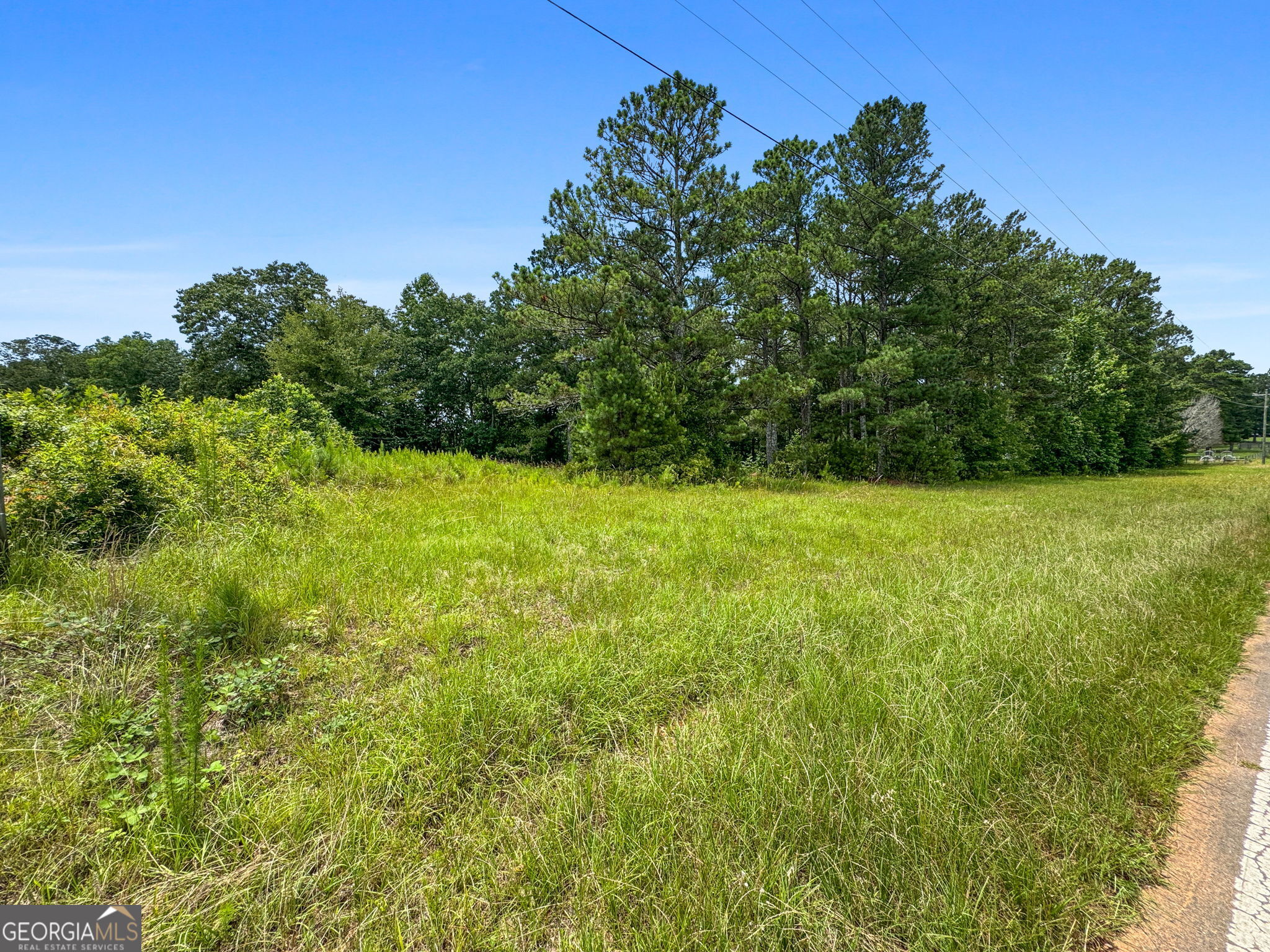 0 Firetower Road Thomaston, GA 30286 - Photo 1 of 5 a view of yard with green space