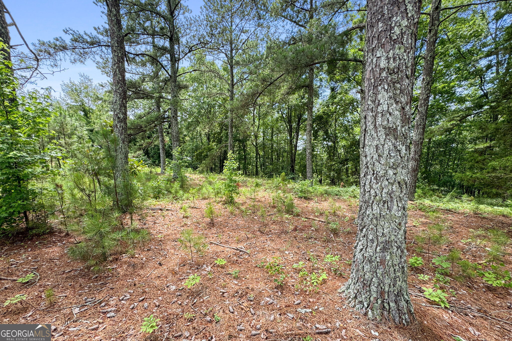 0 Firetower Road Thomaston, GA 30286 - Photo 2 of 5 a view of outdoor space and trees