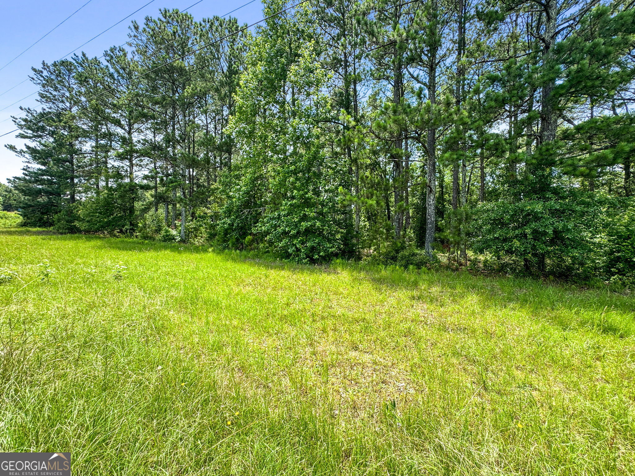 0 Firetower Road Thomaston, GA 30286 - Photo 3 of 5 a view of yard with green space