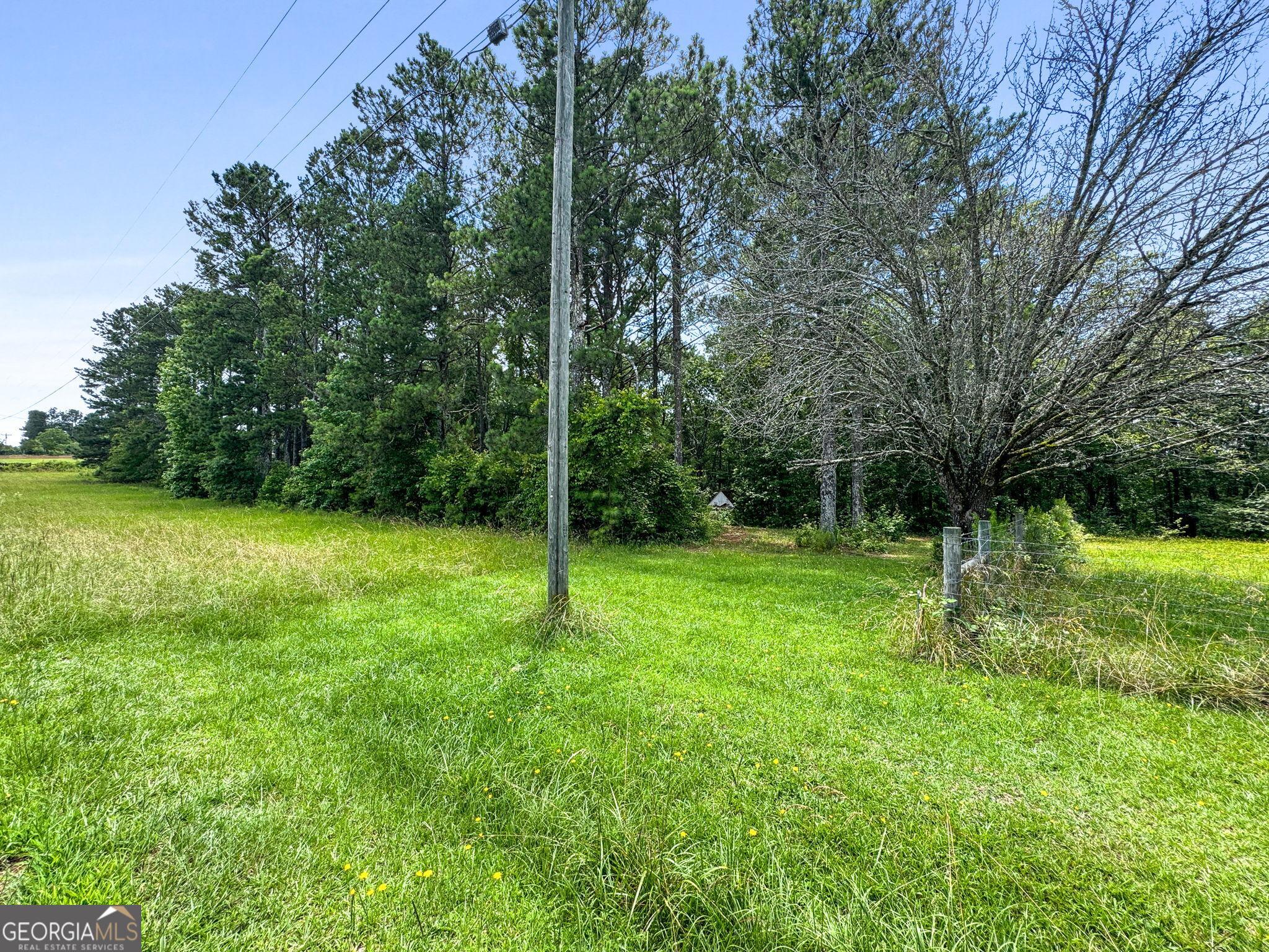 0 Firetower Road Thomaston, GA 30286 - Photo 4 of 5 a view of backyard with green space