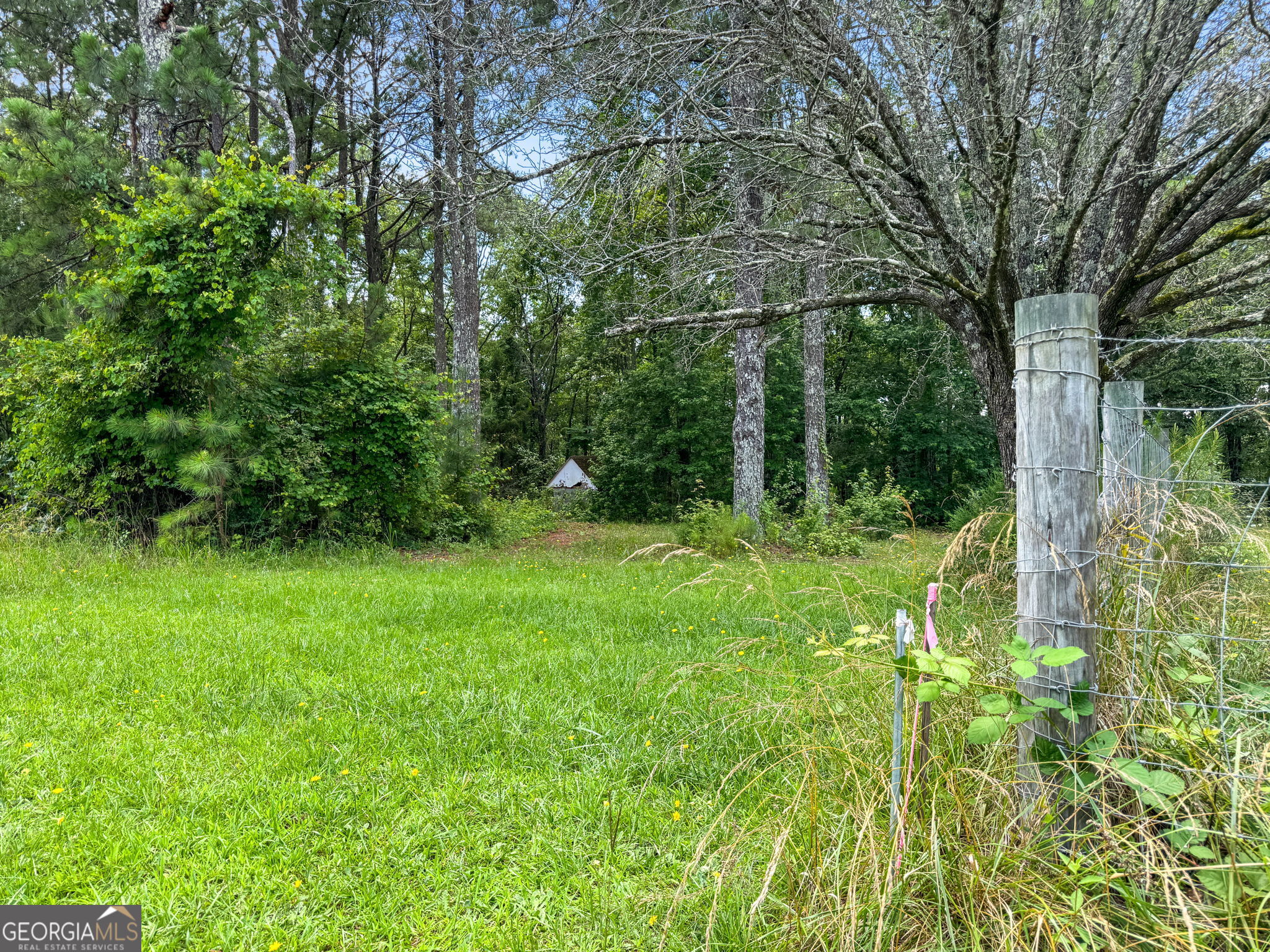 0 Firetower Road Thomaston, GA 30286 - Photo 5 of 5 a view of lush green forest