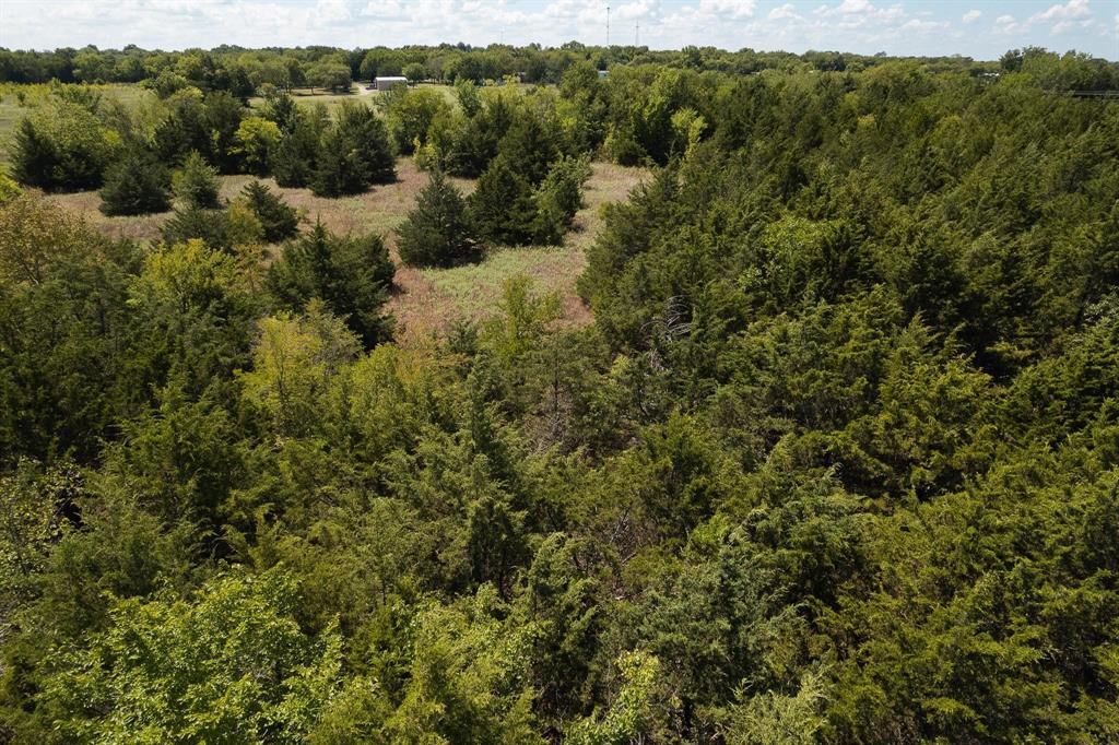 40-acres Turner Road Bells, TX 75414 - Photo 7 of 8