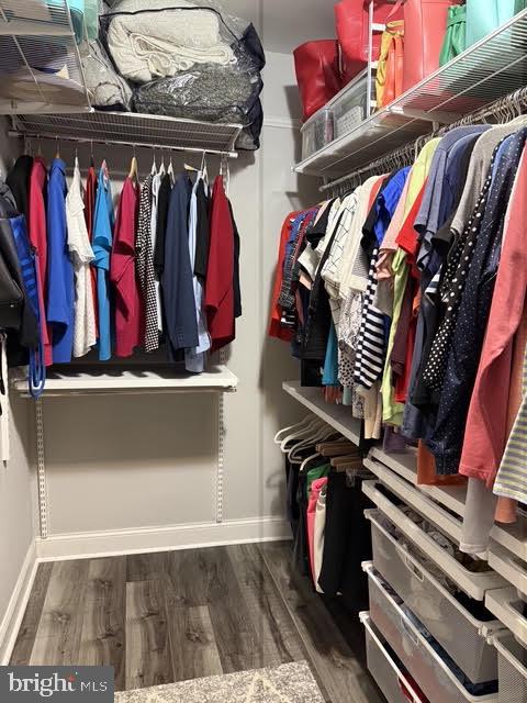 802 Devon Road Riverside, NJ 08075 - Photo 19 of 29 a view of walk in closet with clothes and shoes