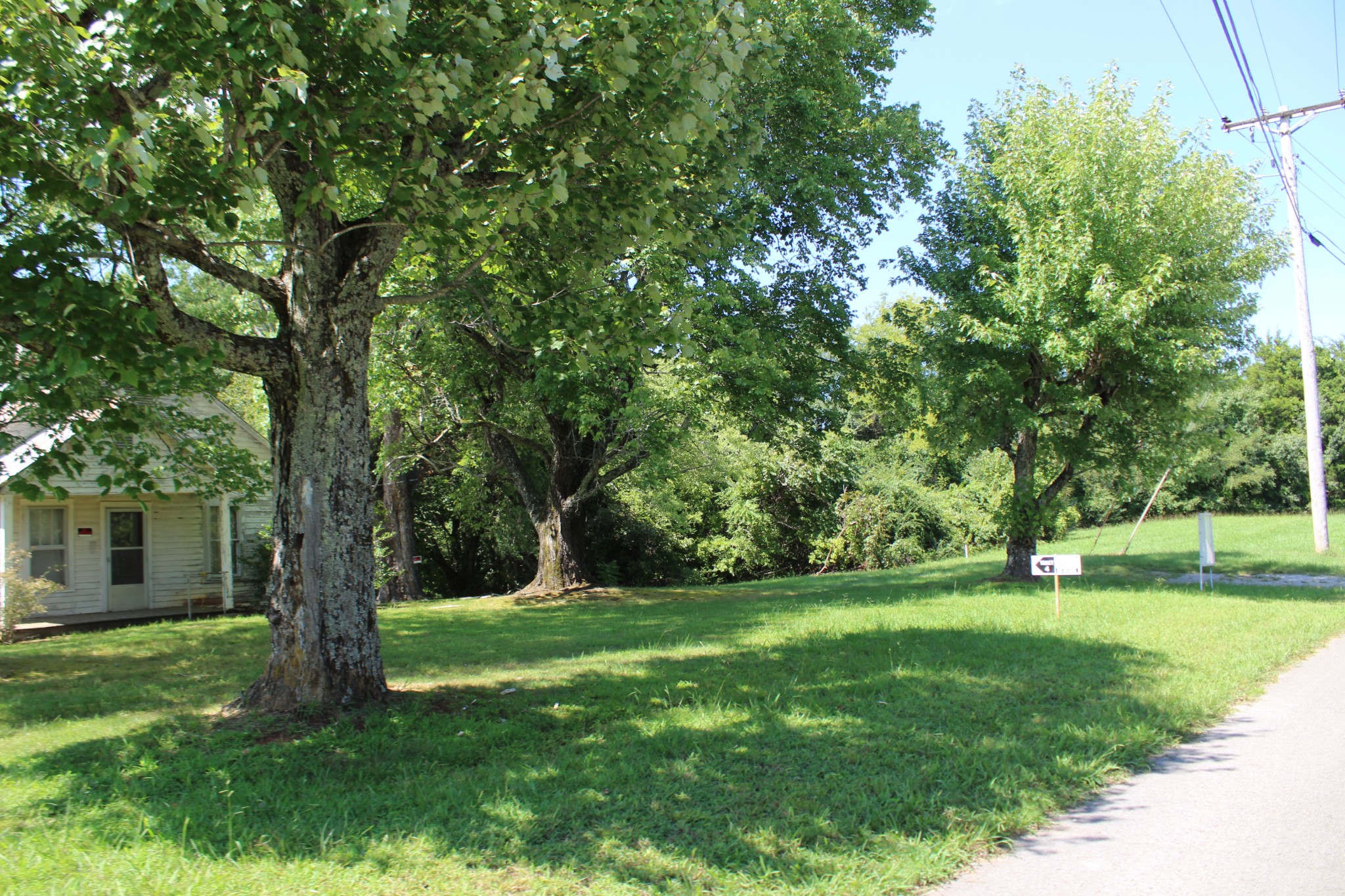 Undisclosed Address McMinnville, TN 37110 - Photo 2 of 3 a view of a garden with a tree