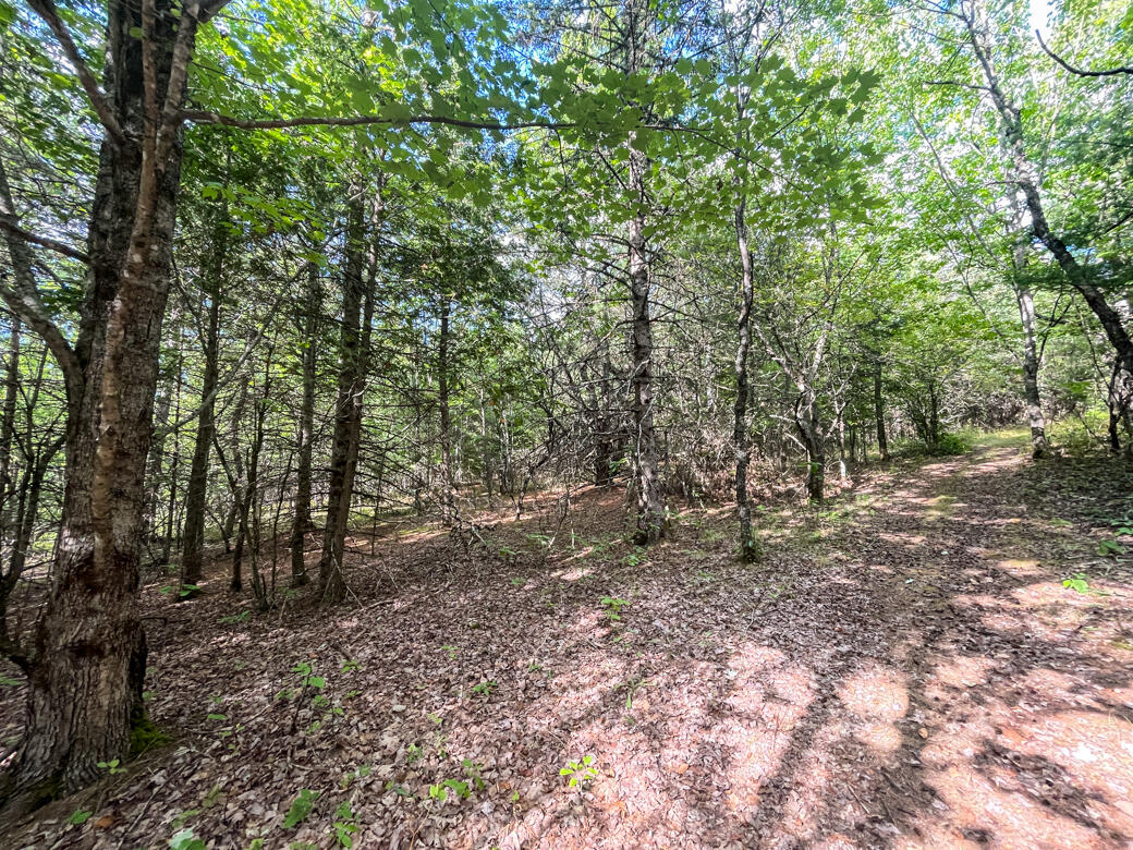 526 Bryant Road Hermon, ME 04401 - Photo 10 of 10 010