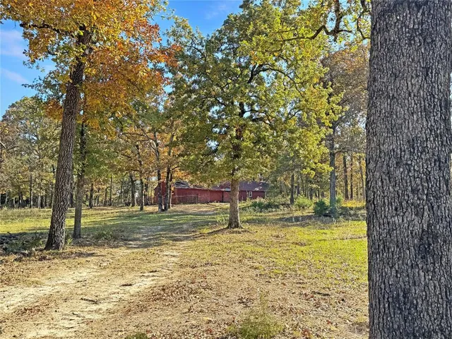 a view of a yard with large trees