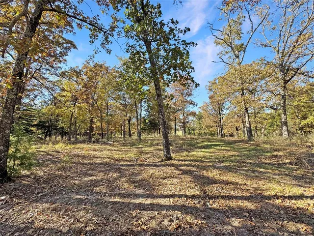 a big yard with trees