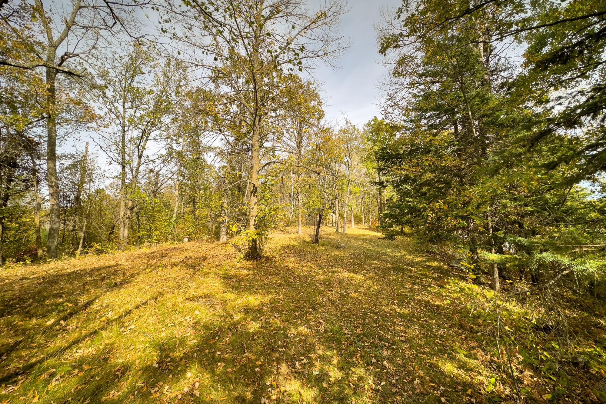 Tract B Brietbach Road Park Rapids, MN 56470 - Photo 23 of 26