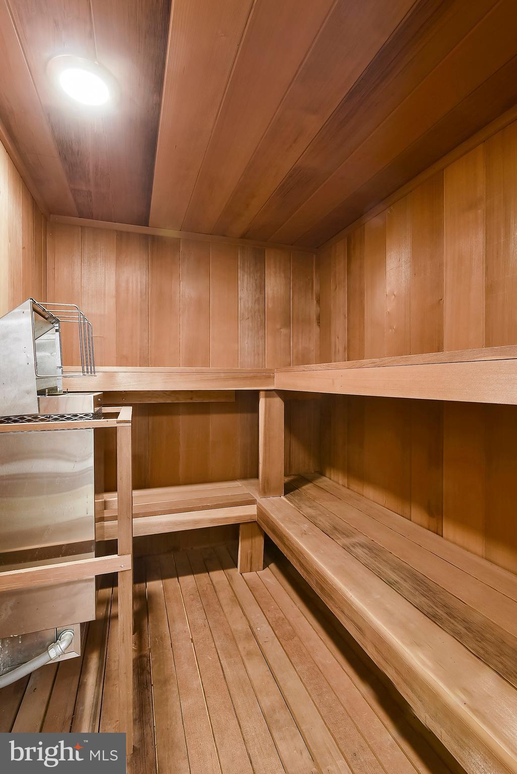 10908 Thanlet Lane Reston, VA 20190 - Photo 25 of 30 Sauna