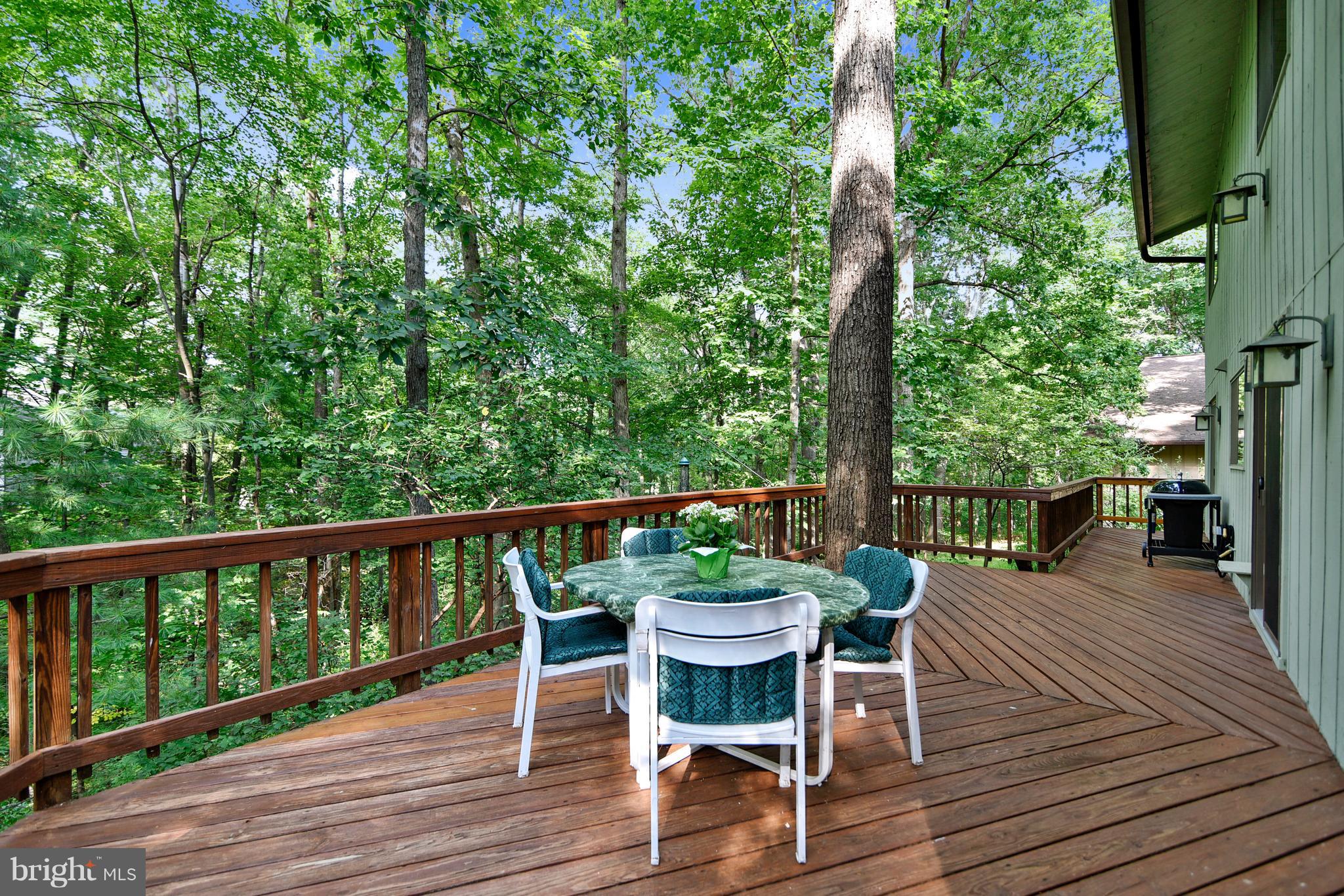 10908 Thanlet Lane Reston, VA 20190 - Photo 29 of 30 Main Level Deck
