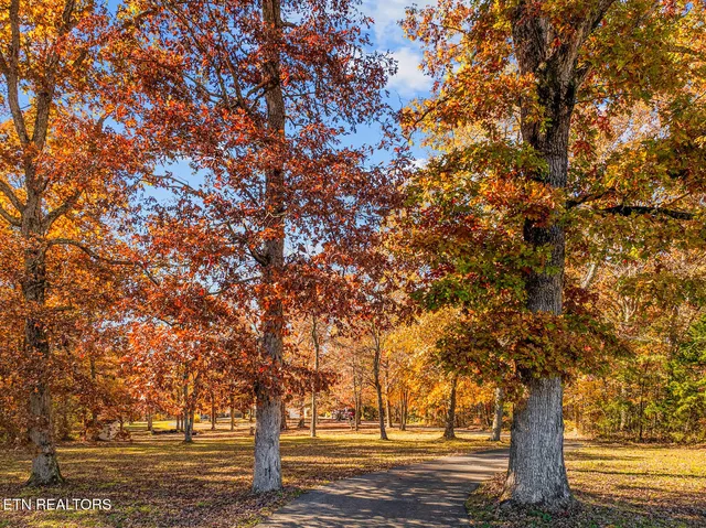 $569,900 | 1383 Old Bean Shed Road, Clarkrange, TN 38553