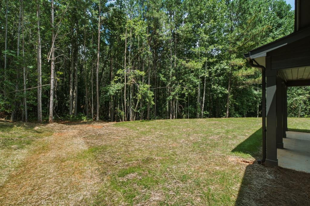 4016 Carver Mill Road Talking Rock, GA 30175 - Photo 44 of 44
