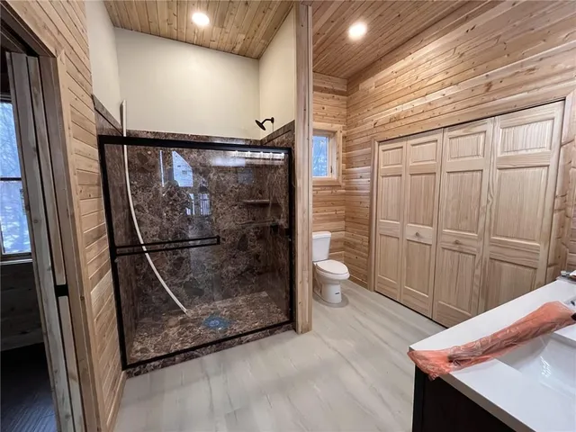 a bathroom with a shower and toilet