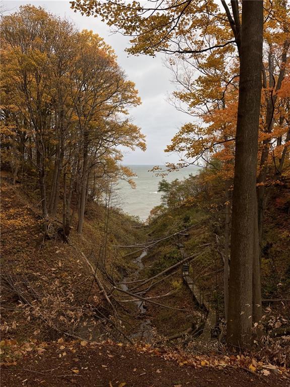 8498 East Lake Road Erie, PA 16511 - Photo 2 of 16 a view of a forest with a tree