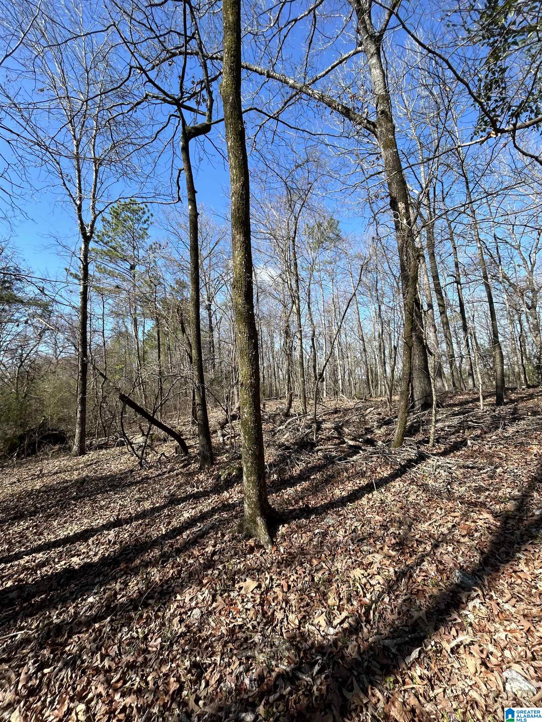 1059 Spring Creek Road, Unit 275220001034 013 Montevallo, AL 35115 - Photo 11 of 14