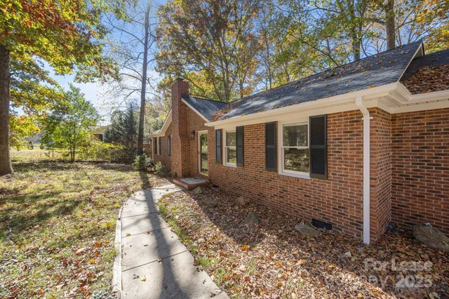 a view of a yard with plants and large tree