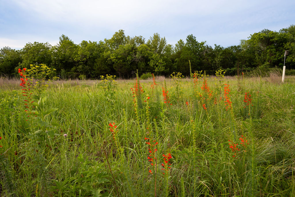 13800 Lone Rider Trail Austin, TX 78738 - Photo 27 of 27 a view of a lake with houses in the back