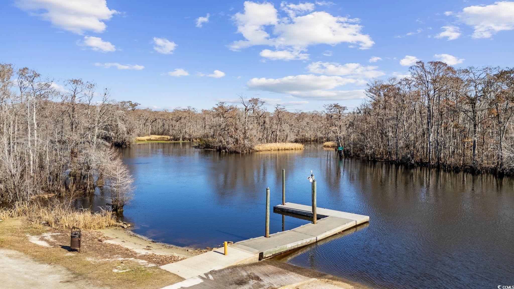 3565 Steamer Trace Road Conway, SC 29527 - Photo 38 of 40 Dock area with a water view and a view of trees