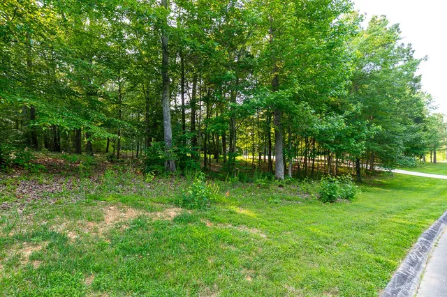 a view of backyard with green space