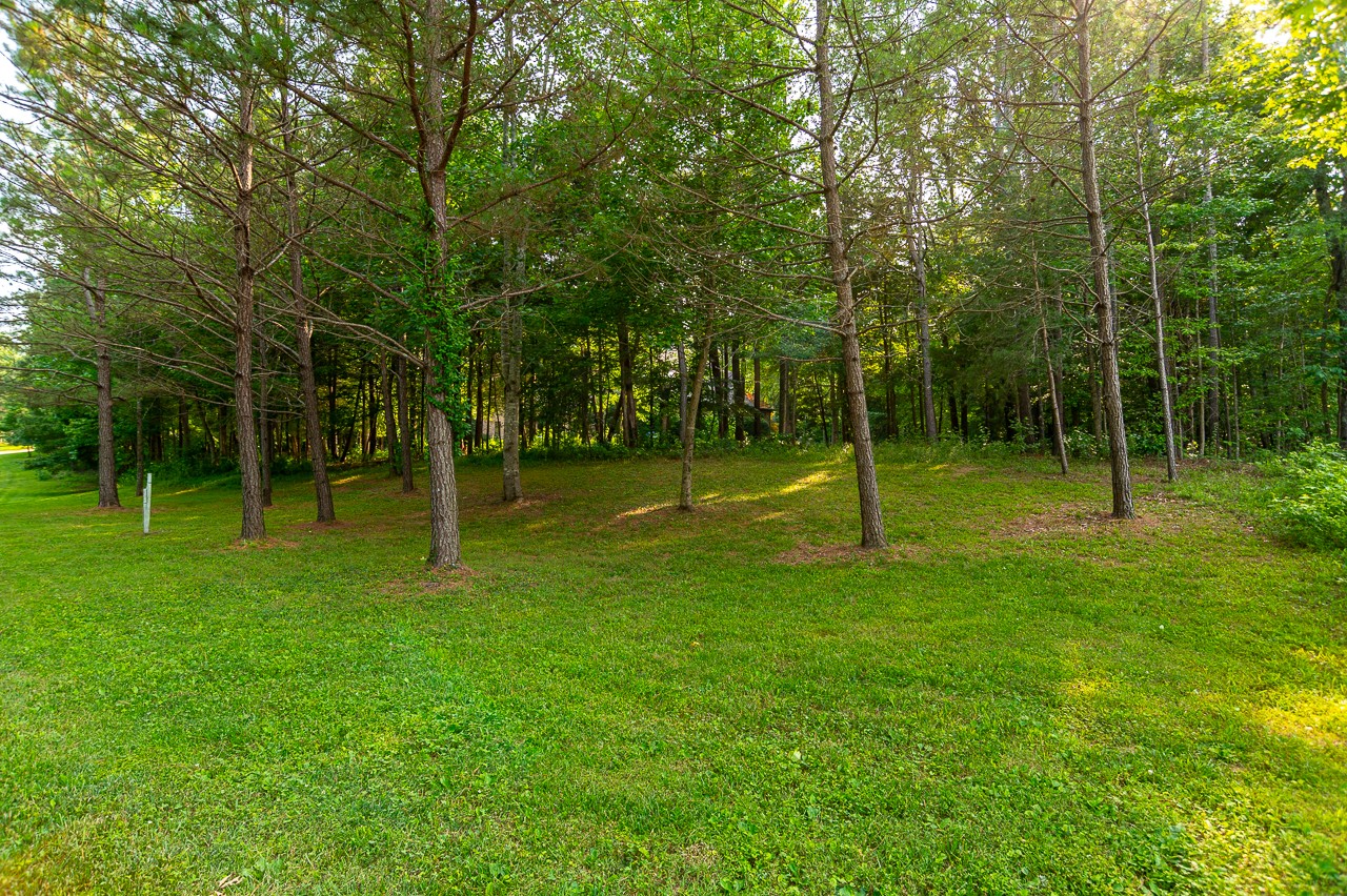 205 Nature Ridge Road Tullahoma, TN 37388 - Photo 6 of 58 a view of a park