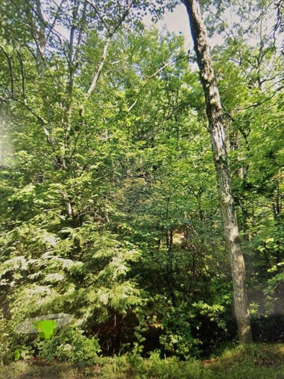 349 Southwest Main Street Douglas, MA 01516 - Photo 6 of 7