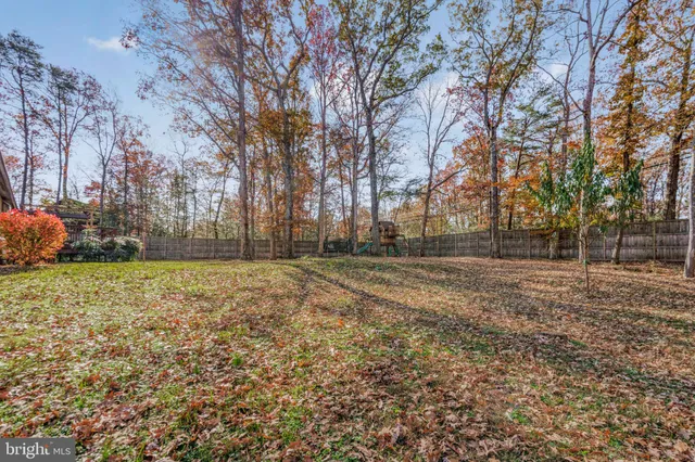 a view of dirt yard with large trees