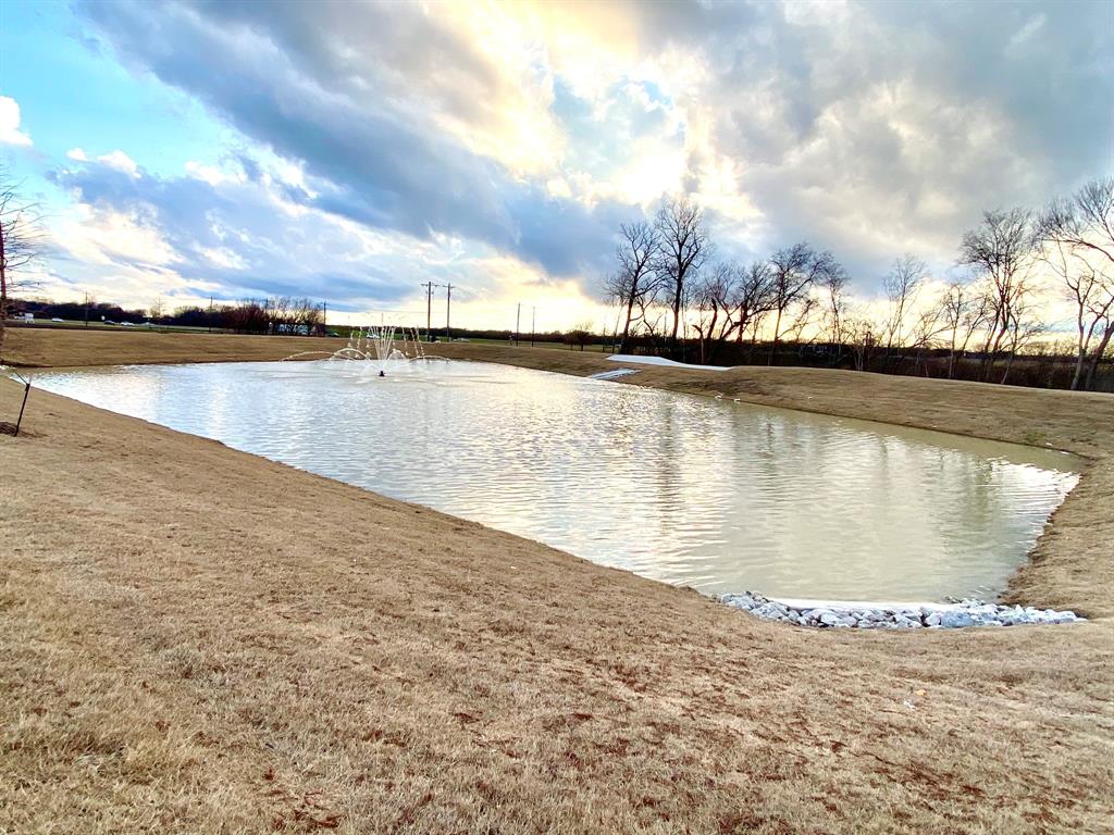 615 Metallic Tree Lane Van Alstyne, TX 75495 - Photo 3 of 24