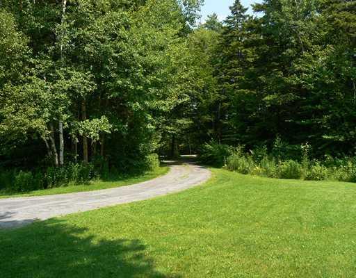 489 North Palermo Road Freedom, ME 04941 - Photo 19 of 25 Yard/Garden.